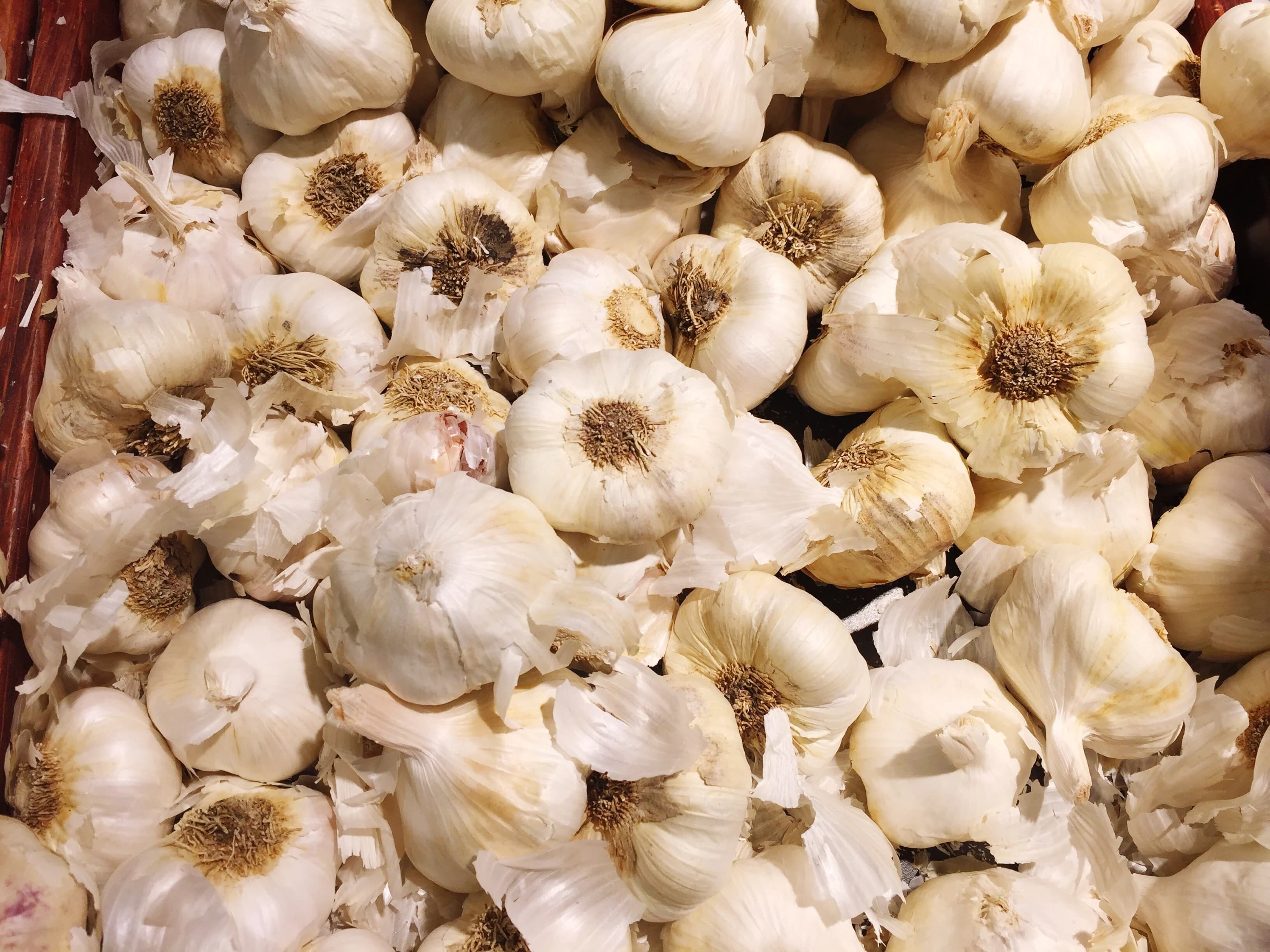 Desi garlic lots arriving at Mandsaur agricultural market